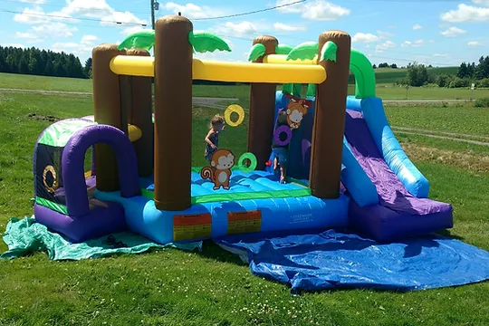 Jeux gonflables pour enfants - Les Amusements Sophie